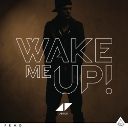 Avicii - Wake Me Up